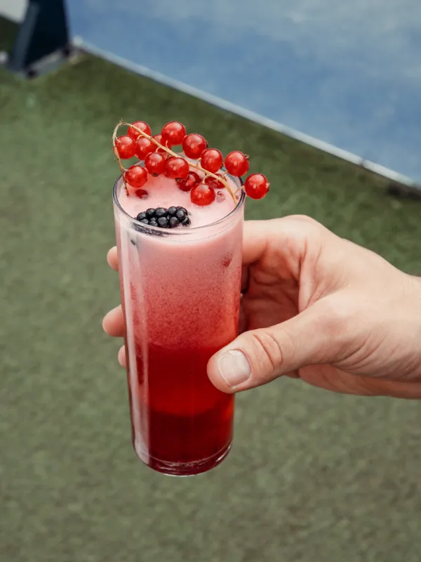 Cóctel de frutos rojos con grosellas y mora para eventos
